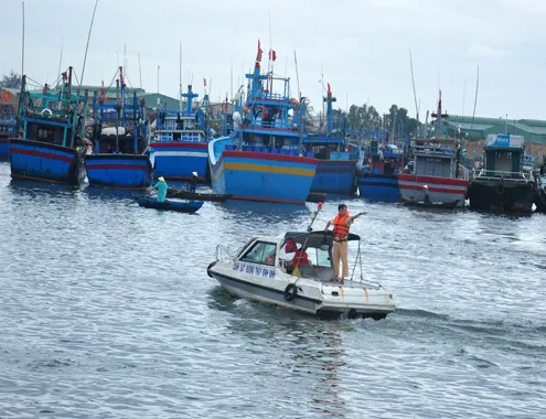 Tình hình tàu thuyền trước cơn bão Hagupit được đảm bảo