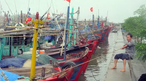 Công điện khẩn số 10 về cấm tàu thuyền hoạt động xa bờ và khu vực Cần Giờ từ 00 giờ ngày 11/12