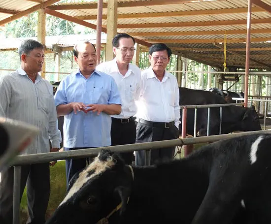Bí thư Thành ủy Lê Thanh Hải làm việc với Huyện ủy Củ Chi