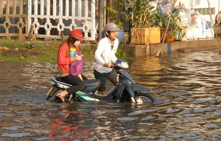 Từ ngày 24-26/12/2014: Triều cường đạt mức trên báo động 3