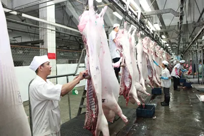 Nguy cơ mất an toàn vệ sinh thực phẩm do giết mổ thủ công nhỏ lẻ vẫn còn tồn tại