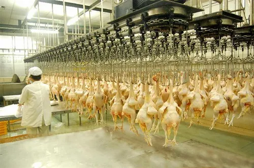 Giảm giá một số mặt hàng bình ổn từ 19/1 