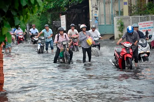 TP.HCM: Từ 21-23/1/2015 triều cường sẽ đạt 1,55-1,60 mét