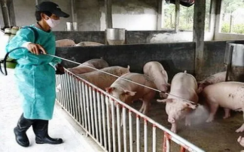2015: Tiếp tục chấn chỉnh công tác phòng chống dịch bệnh động vật
