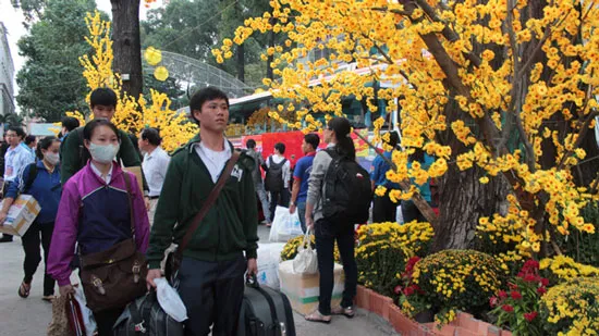 Tập trung hỗ trợ cho sinh viên đón Tết