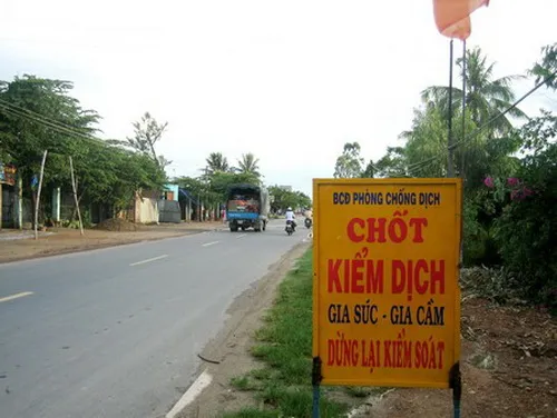 Đề nghị các địa phương kiểm tra, kiểm dịch sản phẩm động vật trước khi nhập vào TPHCM