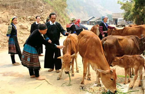 Cân bằng nguồn lực và chính sách giảm nghèo