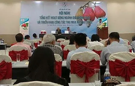 Xuất khẩu điều VN dẫn đầu thế giới