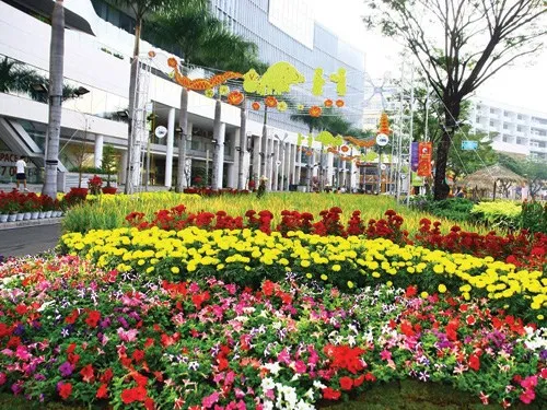 Khai mạc chợ hoa xuân Bình Điền, Phú Mỹ Hưng Tết Ất Mùi 2015