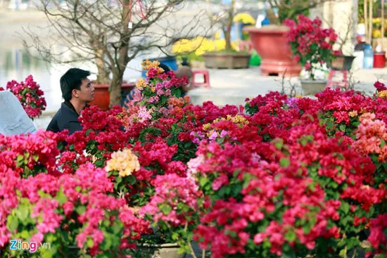 Chọn điểm du xuân thích hợp theo thời tiết