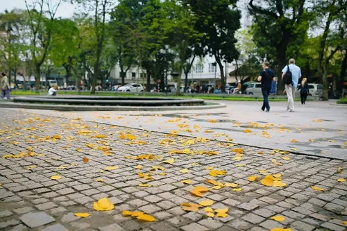 Thời tiết Nam bộ diễn biến tốt trong những ngày Tết