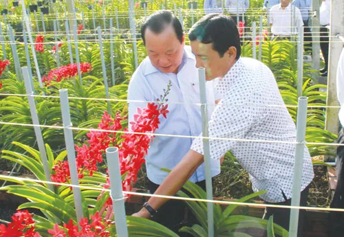 TPHCM hướng đến mục tiêu nông thôn mới giàu đẹp