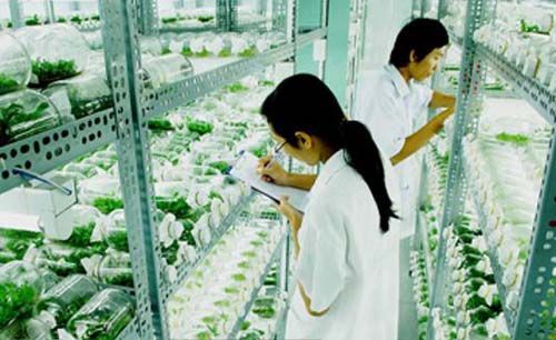 Thành phố xây dựng nền nông nghiệp đô thị công nghệ cao