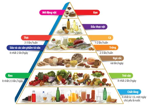 Cung cấp nguồn dinh dưỡng phù hợp cho bé