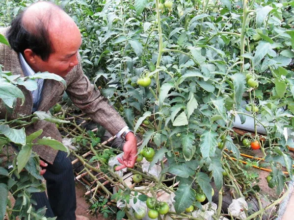 Cơ hội và thách thức cho ngành nông nghiệp trong năm 2015