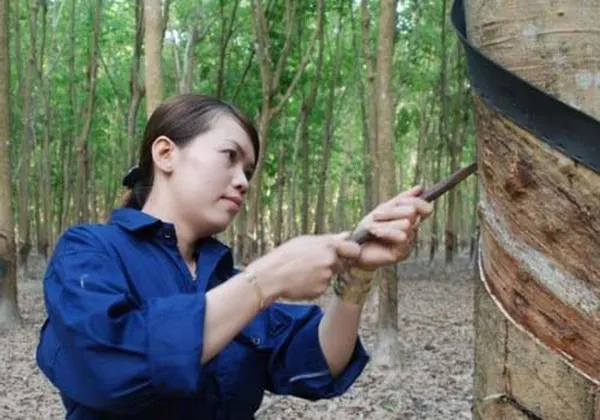 Những điểm son trong chính sách dành cho lao động nữ tại doanh nghiệp 