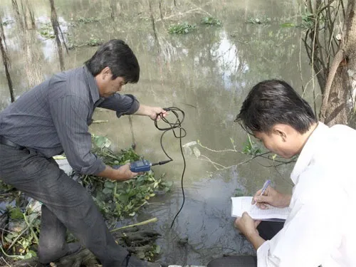 Độ mặn vùng hạ lưu hệ thống sông rạch ở Nam Bộ đạt mức cao  