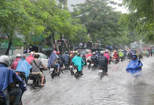 Mùa mưa bão 2015 sẽ phức tạp hơn