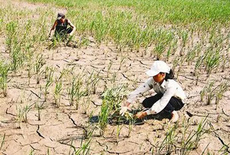 Miền Bắc trở rét- Miền Nam tiếp tục khô hạn