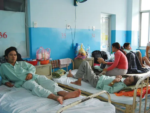 Năm 2014, sốt xuất huyết ở người lớn chiếm 51%