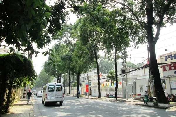 Cung cấp thông tin sự cố cây xanh cho cơ quan chức năng qua số điện thoại
