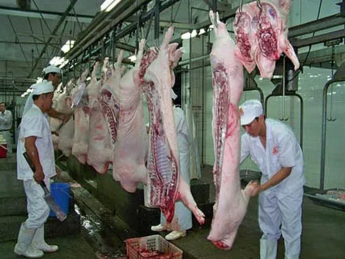 Tăng cường nâng cấp cơ sở giết mổ, kiểm soát bảo đảm an toàn thực phẩm