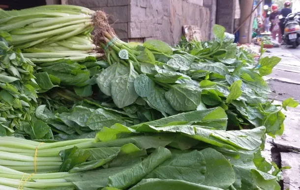 Cần ngăn chặn thị trường ngầm chuyên trị nguyên liệu thực phẩm không an toàn