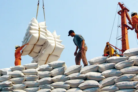 Nâng cao giá trị hạt gạo Việt Nam
