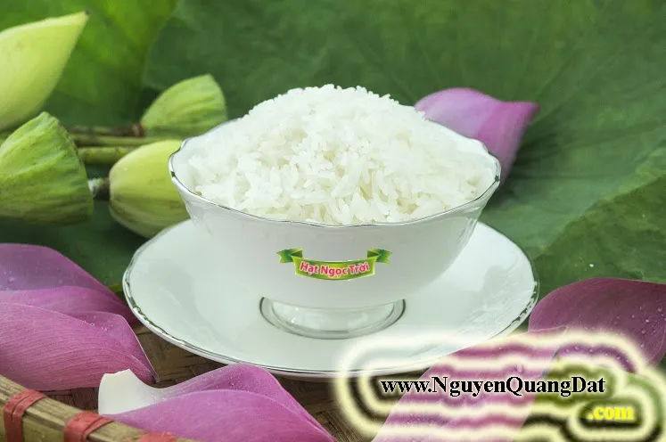 Giao lưu y học Hội chứng mệt mỏi kinh niên thu hút nhều bệnh nhân