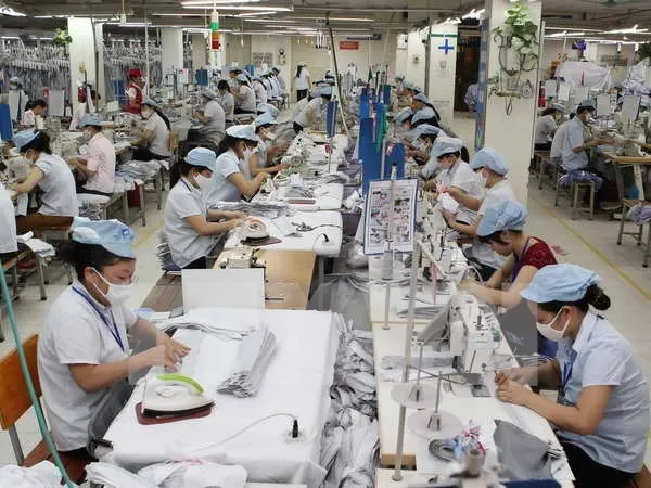 2015: Thanh tra lao động sẽ tập trung vào ngành may mặc