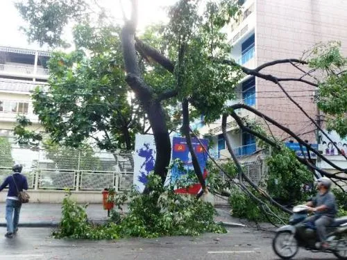 Tháng 5/2015: Thành phố xảy ra sạt lở và ngã đổ cây xanh