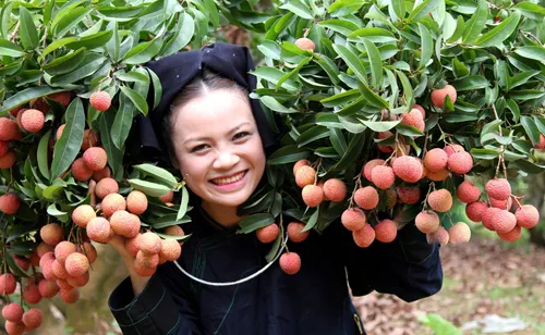 Nâng tầm vị thế nông sản nước nhà 