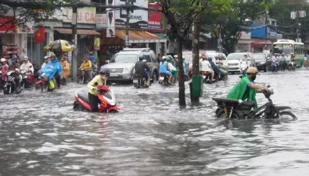 TP.HCM đề nghị các đơn vị, địa phương  chủ động ứng phó bão số 1