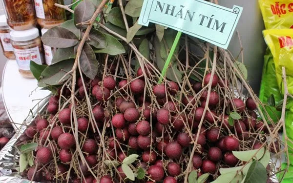 90 hợp đồng được ký kết ở Hội chợ triển lãm giống nông nghiệp TP HCM 