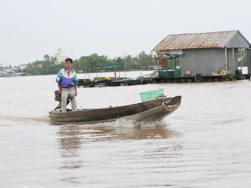 Lũ trên sông Cửu Long đang lên nhanh