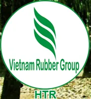 Tập đoàn cao su VN lợi nhuận trước thuế trong 5 năm đạt 31.000 tỷ đồng