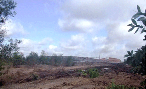 Thiệt hại do ô nhiễm từ bãi rác Tam Tân