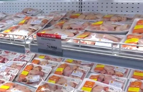 Thịt gà đông lạnh nhập khẩu giá rẻ – Tiên trách kỷ, hậu trách nhân