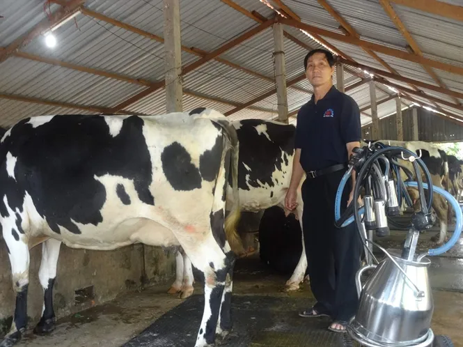 Bàn giao 366 trang thiết bị cơ giới hoá ngành chăn nuôi bò sữa