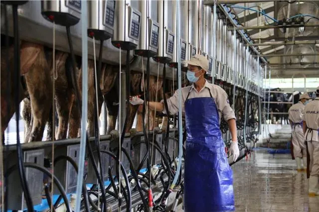 Diễn đàn Kinh doanh 2015: Vượt lên dẫn đầu