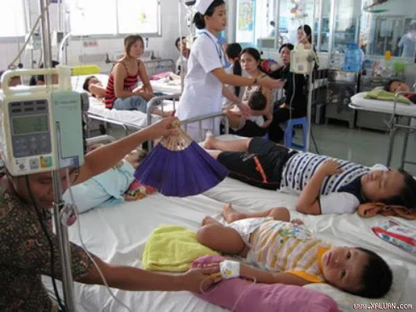 Đến giữa tháng 7/2015: TPHCM có hơn 5.300 ca sốt xuất huyết nhập viện