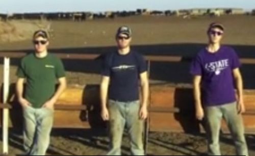 Khi Farmer Style đọ sức cùng Gangnam Style