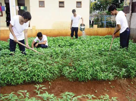 Hiệu quả từ một hội thi