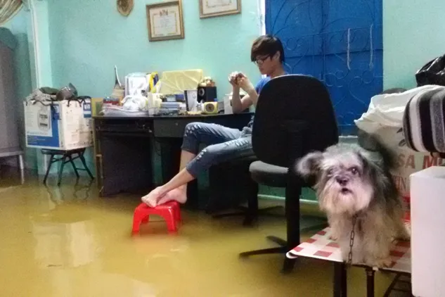 Sáng nay 16/09, nhiều tuyến đường Sài Gòn vẫn ngập