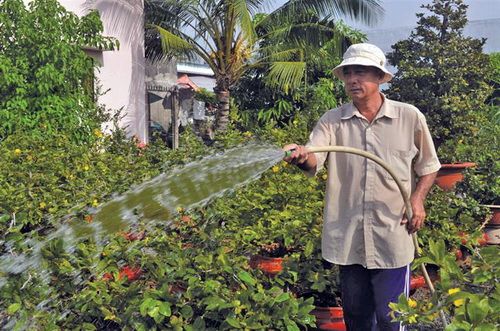 Ấn tượng với nông nghiệp đô thị 