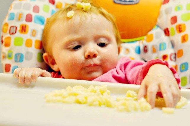 Những điều cần đặc biệt chú ý khi cho trẻ ăn phô mai