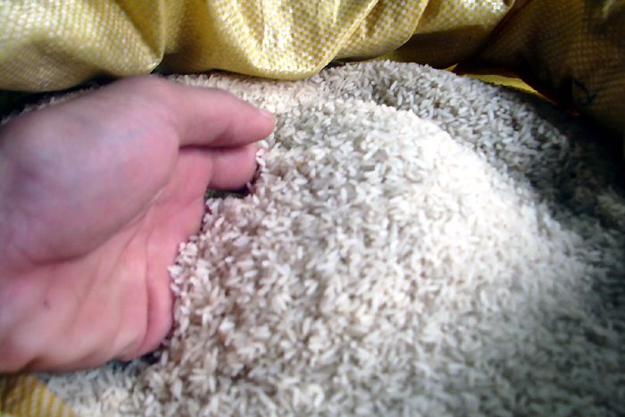 Điểm tin 24 giờ - 05/10/2015: Gạo nhựa chưa từng xuất hiện ở VN