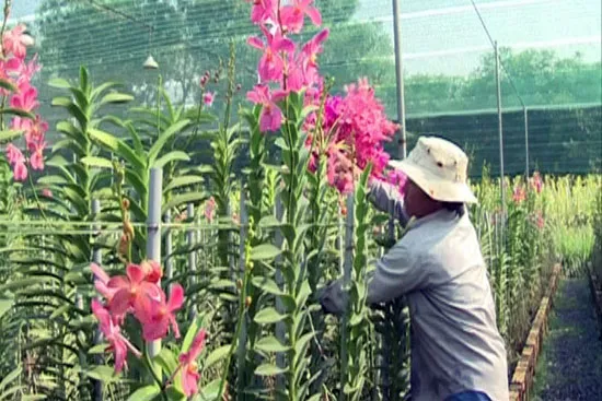 Kỳ vọng, mong đợi và vững niềm tin (Phần 2)