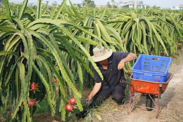 Giúp nông dân hội nhập
