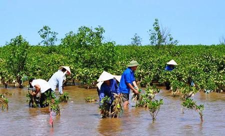 Việt Nam cam kết đóng góp cùng cộng đồng quốc tế ứng phó với biến đổi khí hậu toàn cầu  